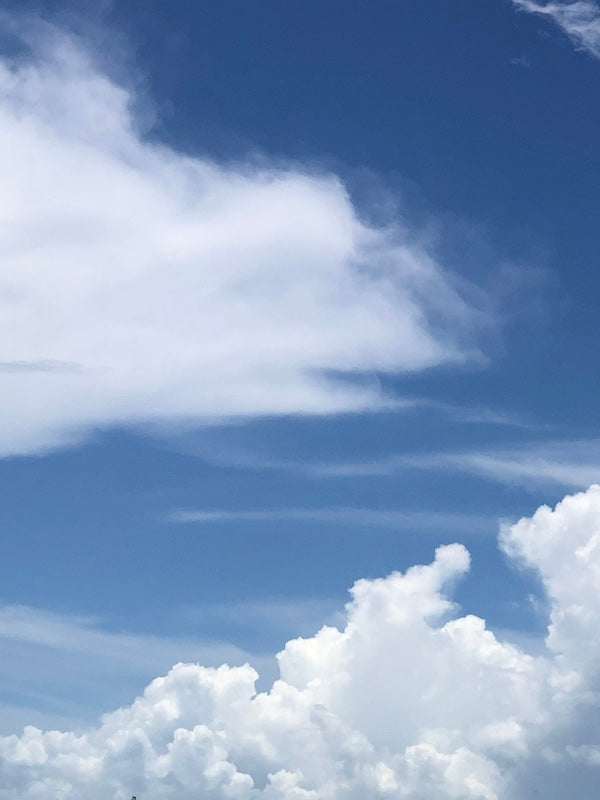 A beautiful day